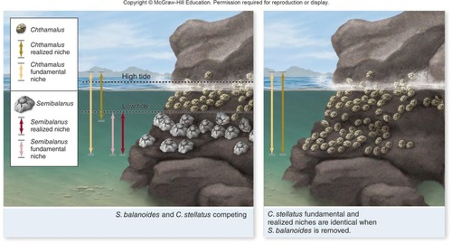 <p>Species with the same requirements cannot coexist in the same place with the same resources.</p>