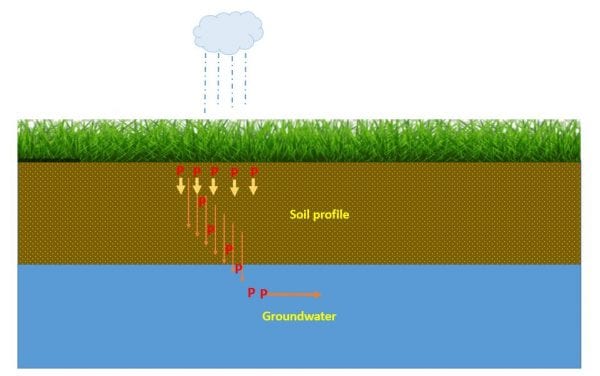 <ul><li><p><strong>Phosphorous rocks break down </strong></p></li><li><p>from wind, rain, uplift </p></li><li><p><strong>release phosphate into soil &amp; H2O</strong></p></li></ul><p></p>