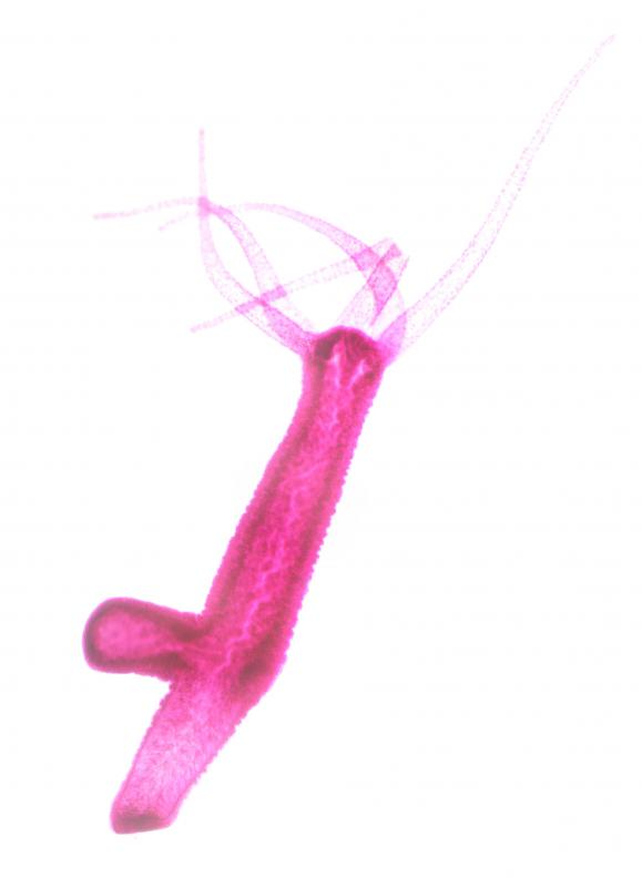 <p>What is this?</p>