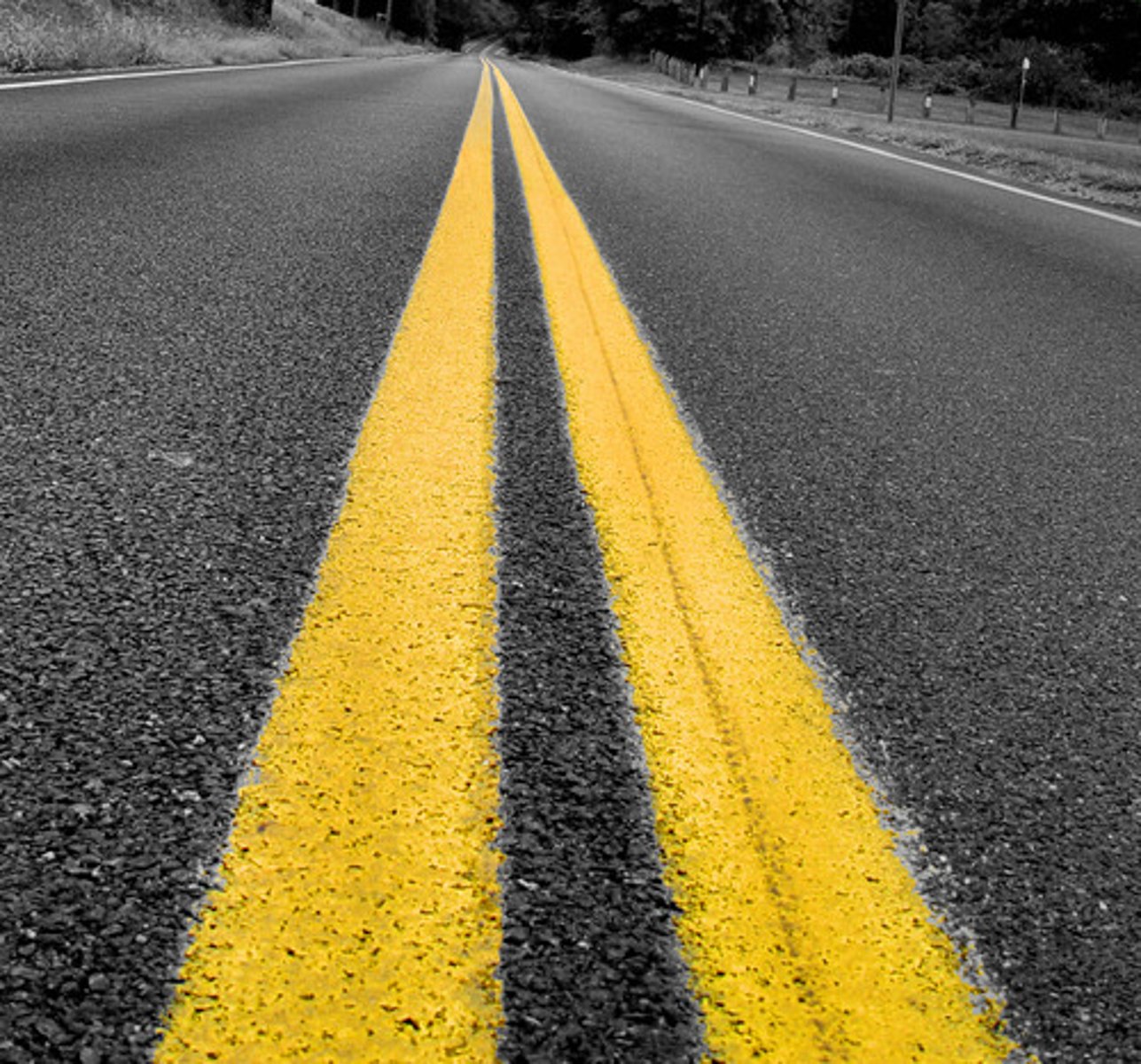 <p>solid line</p>