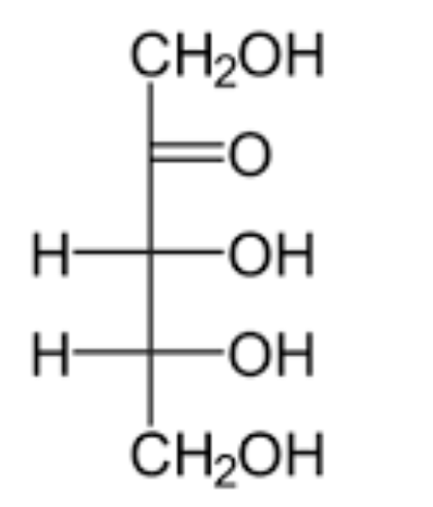 <p>what is the name of this structure? </p>