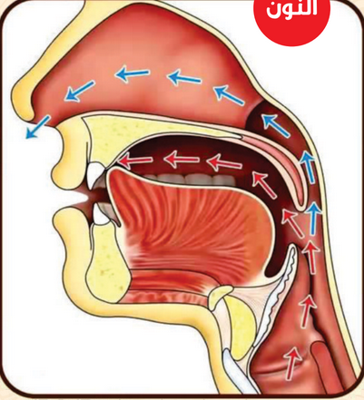 <p>How is Ghunnah produced?</p>