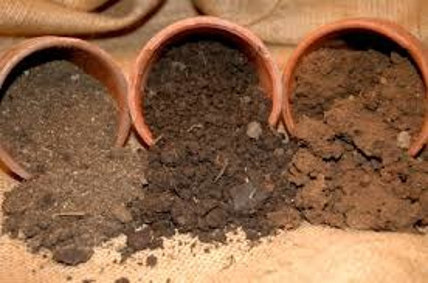 <p>Rich, fertile soil that is made up of about equal parts of clay, sand, and silt.</p>