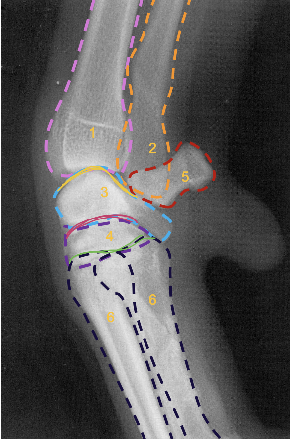 <p>what is the green line?</p>