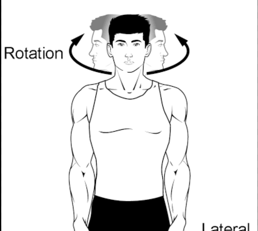<p>Head “yes” or “no” movements</p>