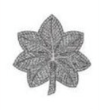 <p>Navy O-5</p>