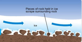 <p>plucked rocks become embedded in the glacier and as it moves the rocks abrade the surface over which they pass</p>