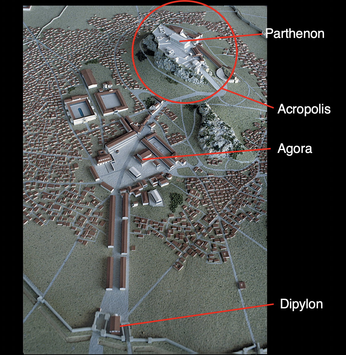 term image