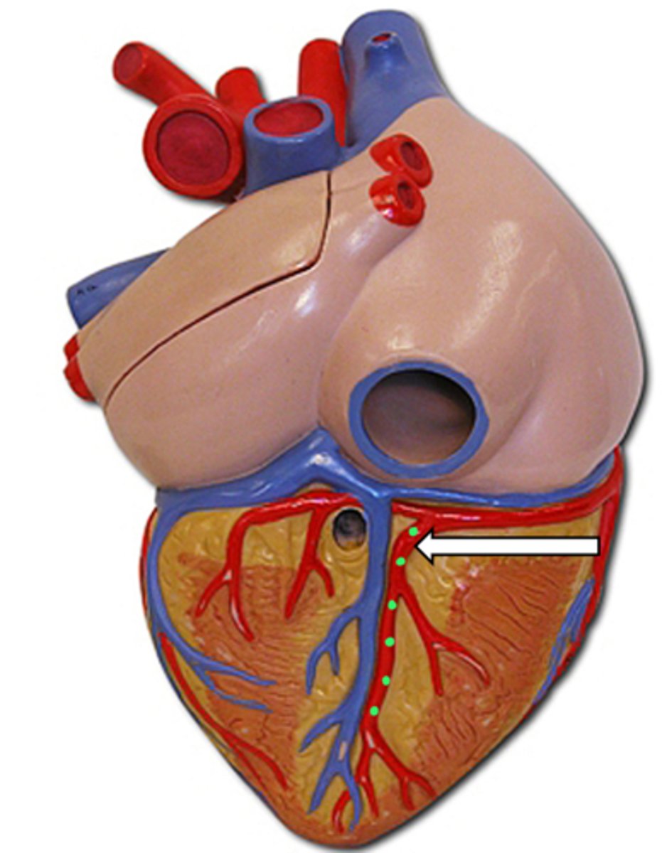 <p>name the structure</p>