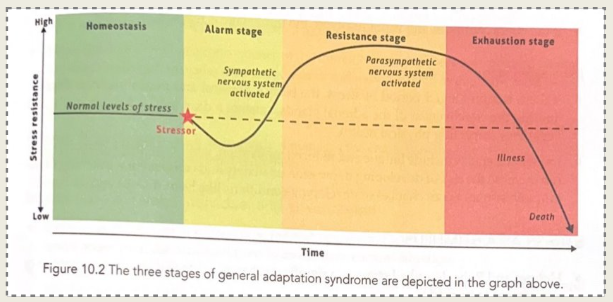 <ol><li><p>Alarm</p></li><li><p>Resistance</p></li><li><p>Exhaustion</p></li></ol><p></p>