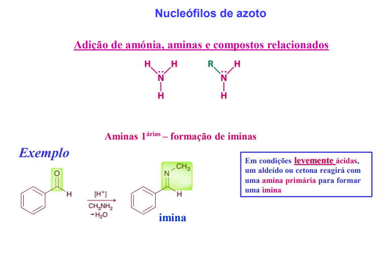 <p>adição de amónia, aminas e compostos relacionados</p>