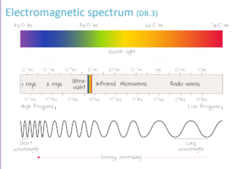 <p>Electromagnetic Spectrum = EVERYTHING; Shows the full range of electromagnetic radiation; Visible light, x-rays, radio waves<br><br>Emission Spectrum = Shows how electrons are exicted from lower to higher energy levels</p>