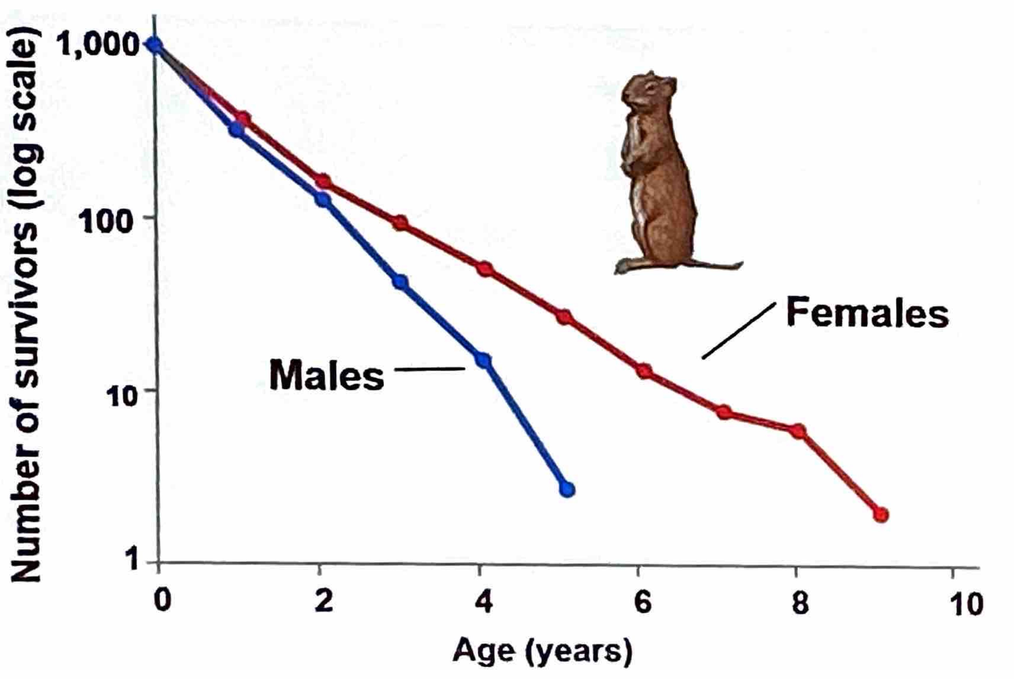 <p>What is a Survivorship Curve?</p>