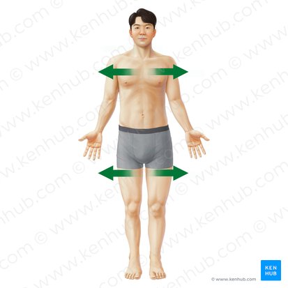 <p>-away from the midline of the body</p>