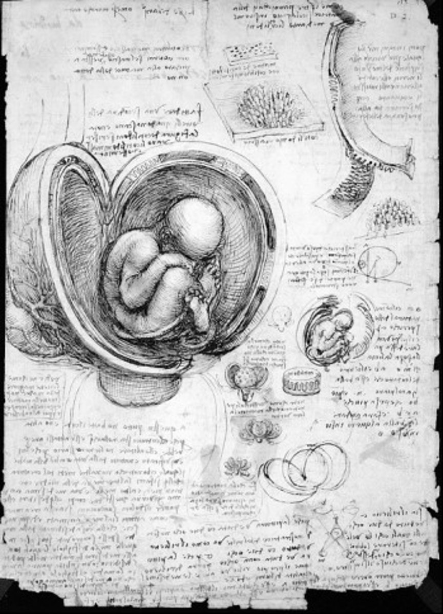 <p>Leonardo da Vinci, 1511-1513, high renaissance</p>