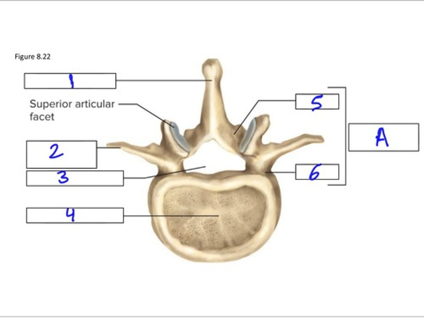 <p>1</p>
