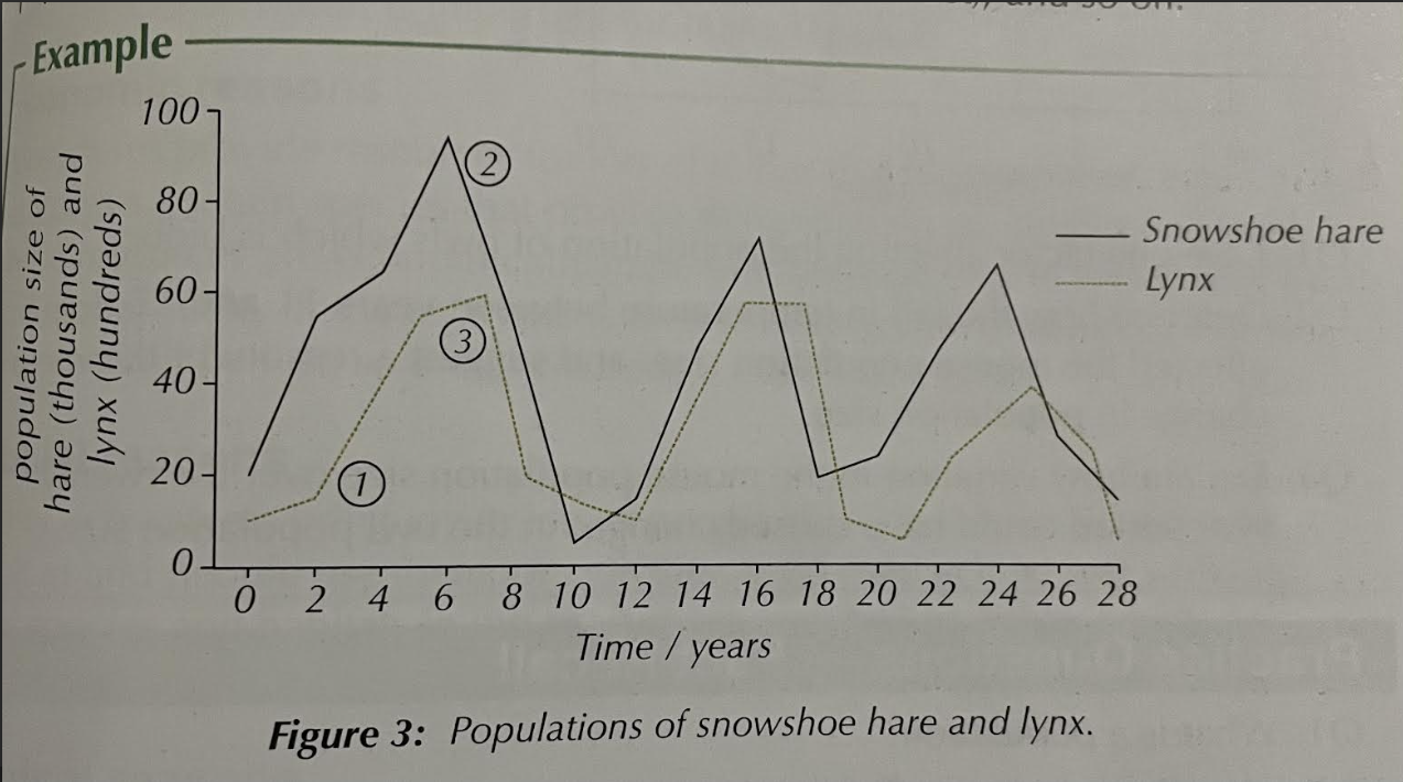 <p>Predation competition graph</p><p>describe the changes</p>