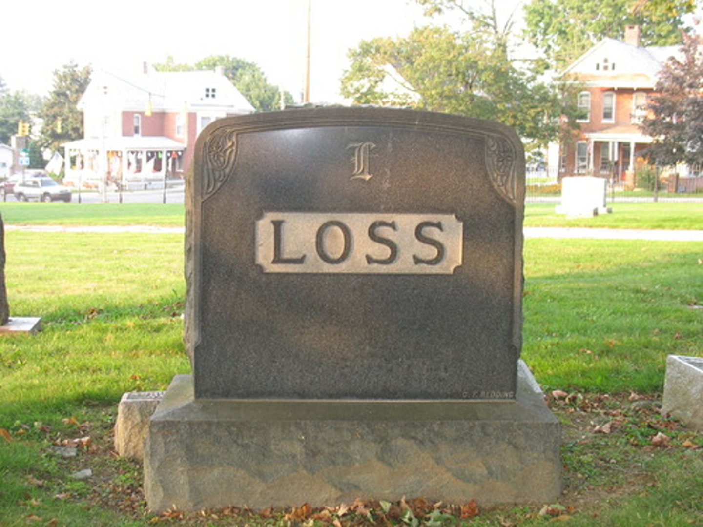 <p>loss, waste</p>