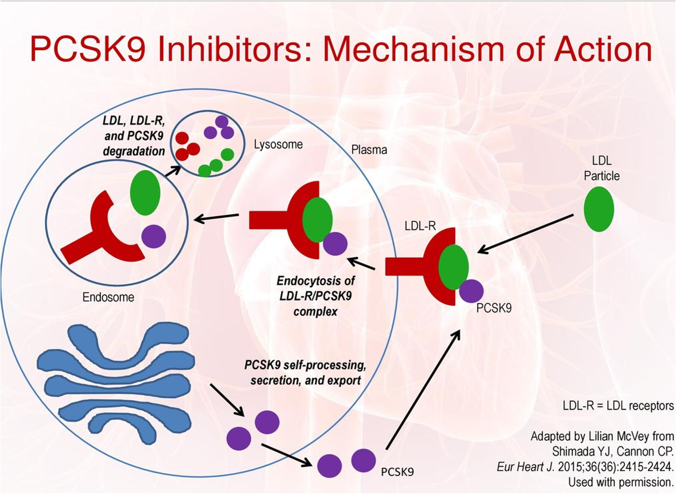 <p>PCSK-9 Inhibitors</p>
