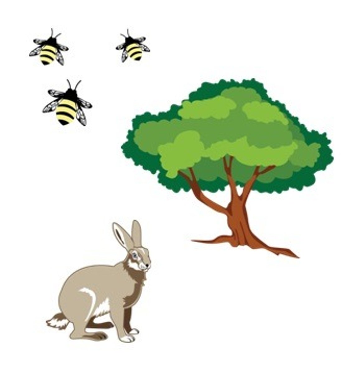 <p>living parts of an ecosystem</p>