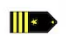 <p>Three gold 1/2-inch stripes outboard a gold five pointed star (O5)</p>