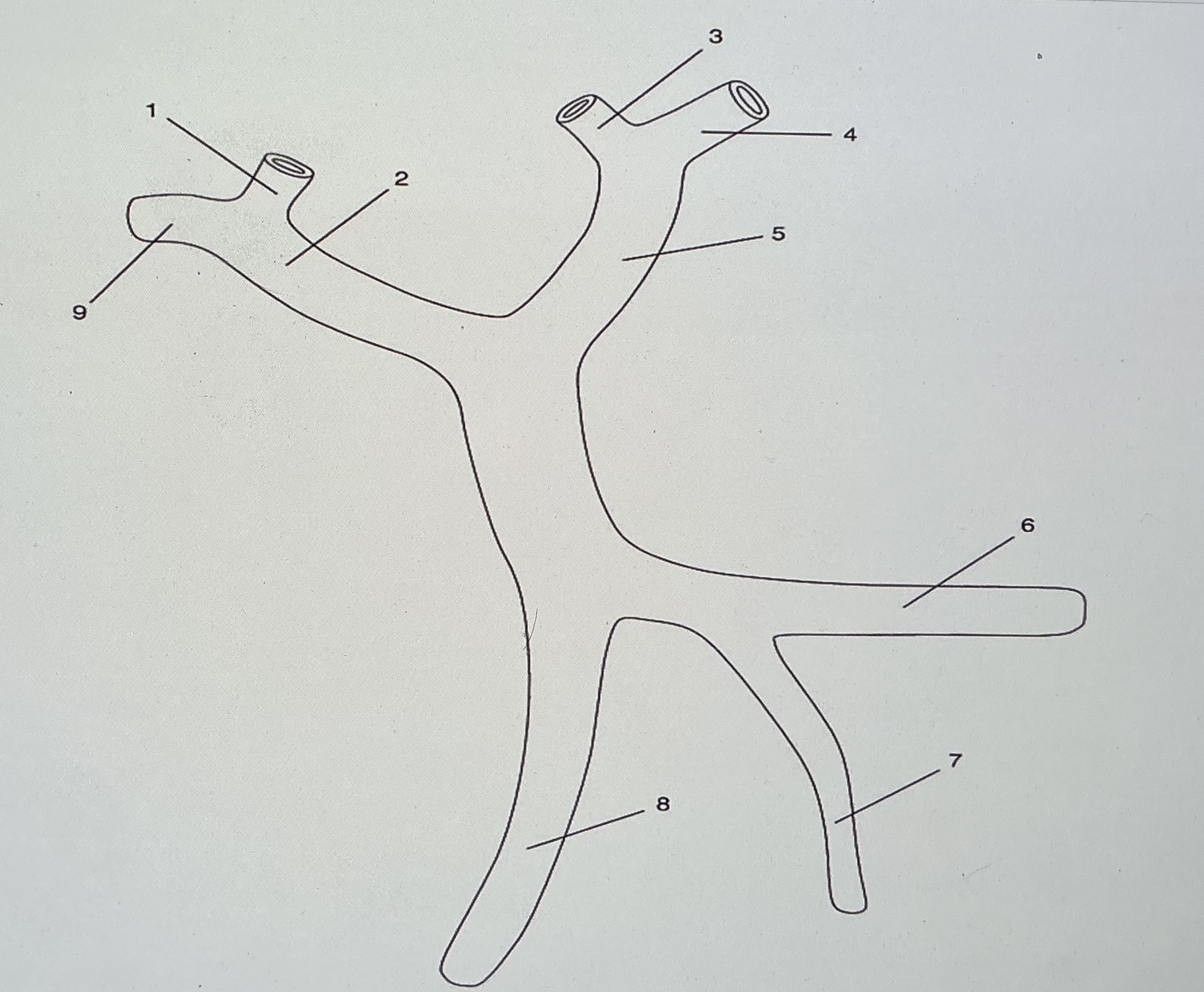 <p>On the diagram, what do numbers 3 and 4 refer to?</p>