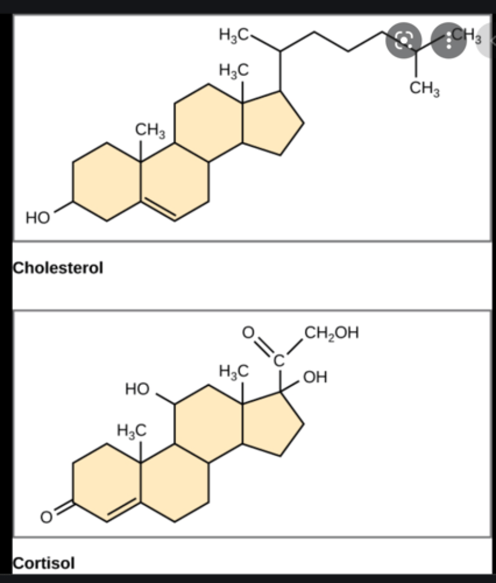<p>4 rings of carbon</p>