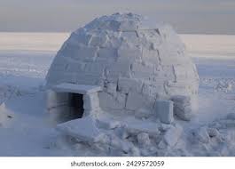 <p>Homes made out of blocks of ice in the Arctic region.</p>