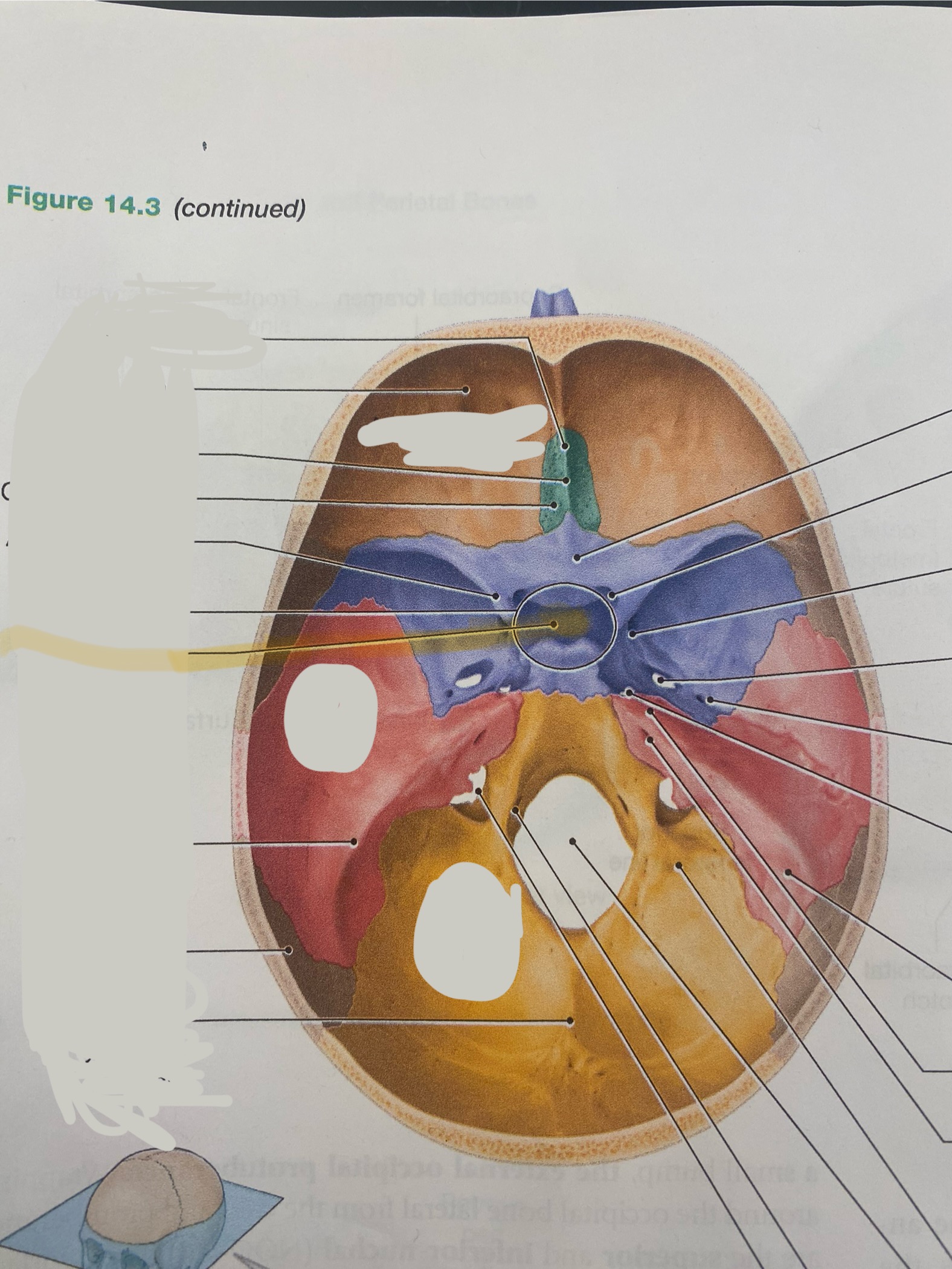 <p>What is the structure? </p>