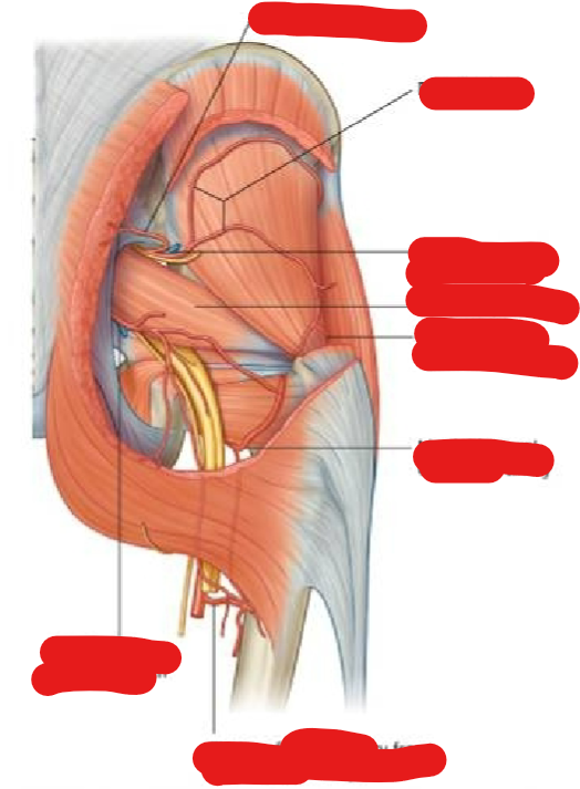 <p></p>