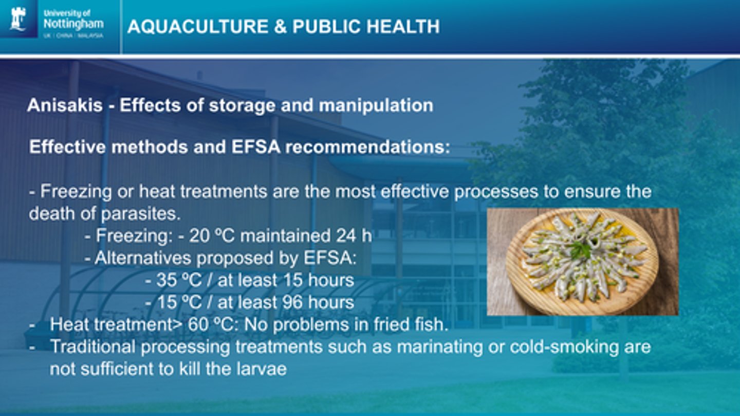 <p>Causes: ingestion of larvae through the intermediate host</p><p>-Raw (sushi), rare (slightly cooked) or inadequately processed</p><p>Effects:</p><p>-Anisakiasis (gastrointestinal irritation of live larvae)</p><p>-Allergy to A. simplex larvae when they are ingested (like an allergic reaction to seafood in someone with no previous allergic reaction to seafood)</p><p>Control:</p><p>- Freezing and heat treatments (EFSA recommendations)</p>