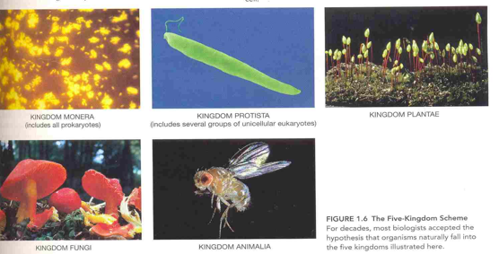 <p>What is this?</p>