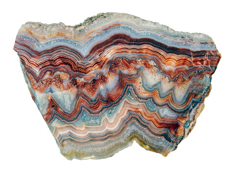 <p>metamorphic rock</p>