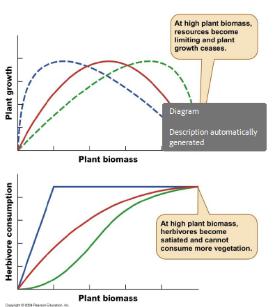 <p>Which of the following statements about the grazing model are correct?</p>