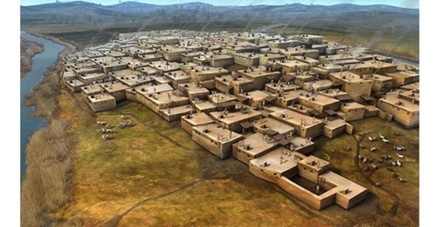 <p>Good example of agricultural village society. Social structure, buried dead, many people, well built houses, specialization.</p>