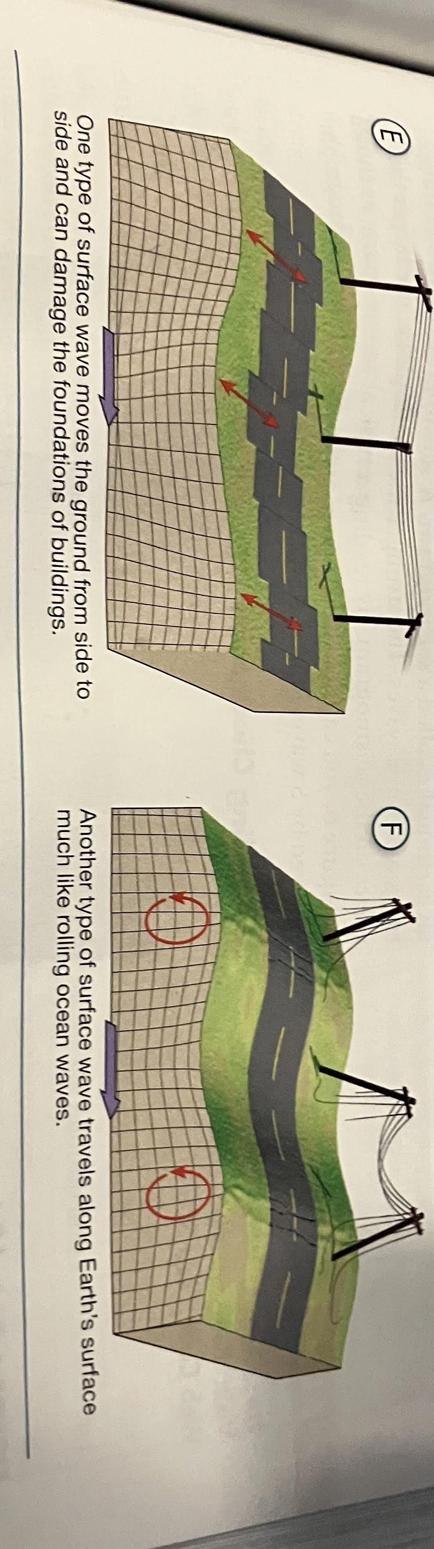 <p><strong>When body waves reach the surface, they produce surface waves.</strong> Surface waves travel more slowly than body waves. As shown in Figure 4E and 4F, surface waves can move the ground up-and-down as well as side to side. Surface waves are usually much larger than body waves. As a result, surface waves are the most. </p>