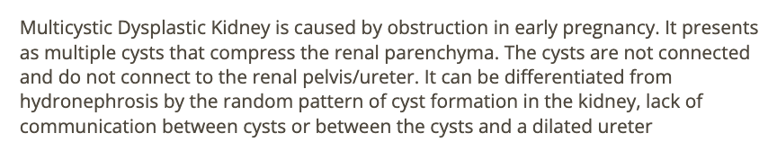 <p>b) multiple noncommunicating cysts that do not connect to a dilated ureter</p>