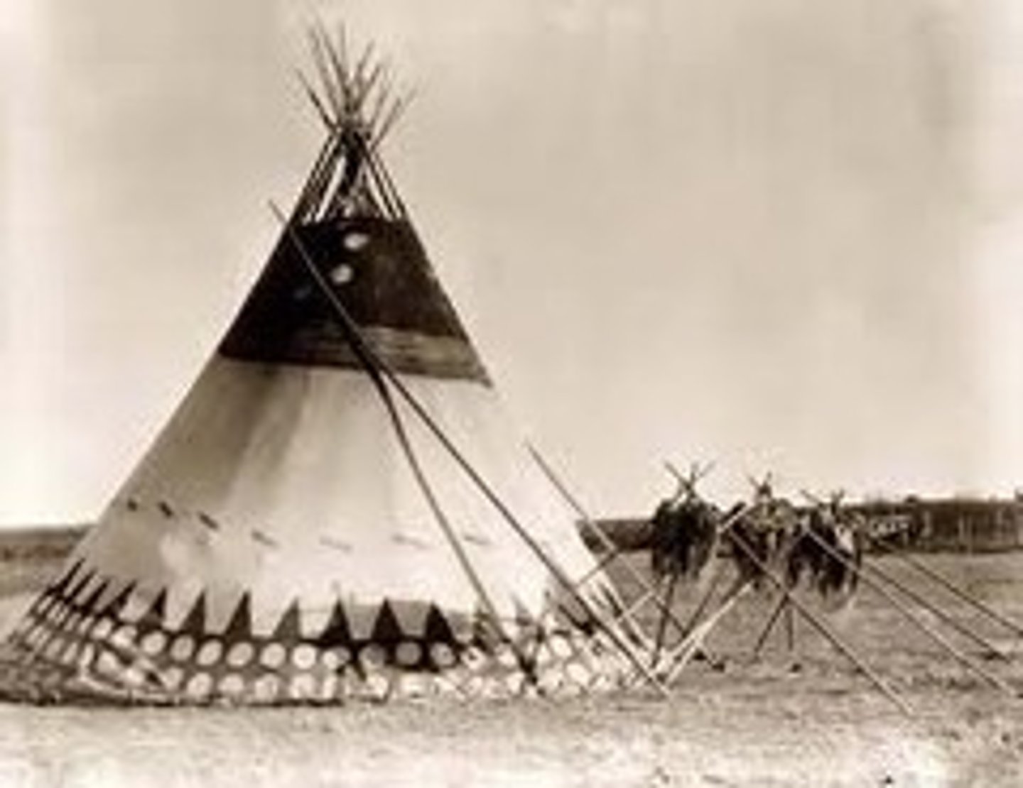 <p>DEFINITION</p><p>These nomadic tribes, such as the Sioux and the Pawnee engaged in some agriculture of corn, beans and squash but primarily migrated with the herds of bison/ buffalo to survive and built homes out of buffalo skin called teepees</p>