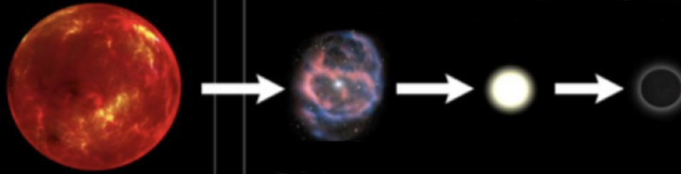 <p>red giants → planetary nebula → white dwarf → black dwarf </p>