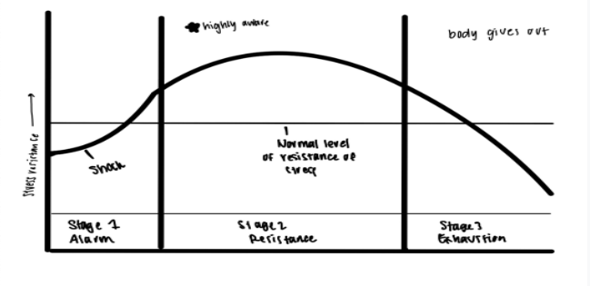 <p>What is <u>General Adaptation Syndrome (GAS)</u>?</p>