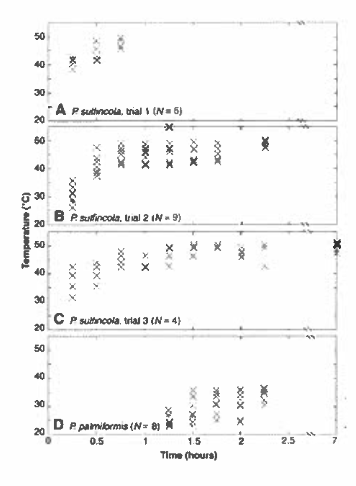 <p><span>The data below are of two species of worms that live near hot hydrothermal</span><br><span>vents deep in the ocean. Worms were placed in a tank with a temperature gradient and given time to find their preferred temperature. What species do you predict occurs closest to the vent? Explain your answer</span></p>