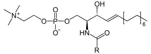 sfingomyeline