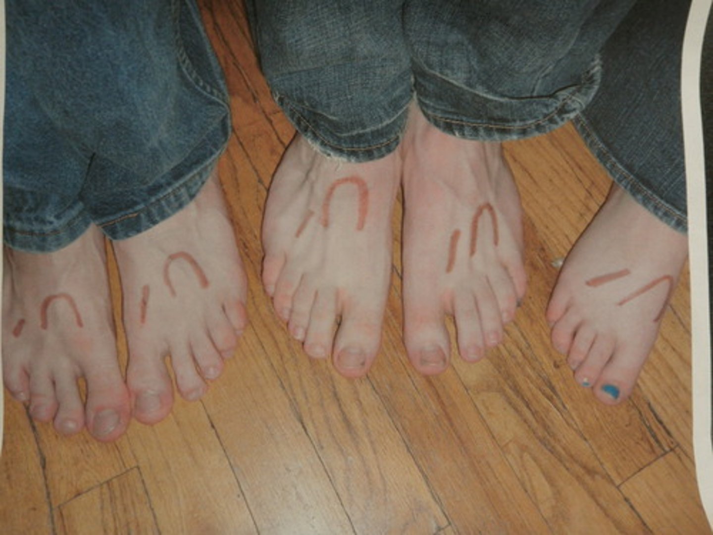 <p>a line of verse with five metrical feet, each consisting of one short (or unstressed) syllable followed by one long (or stressed) syllable; often found in Shakespearean sonnets.</p>