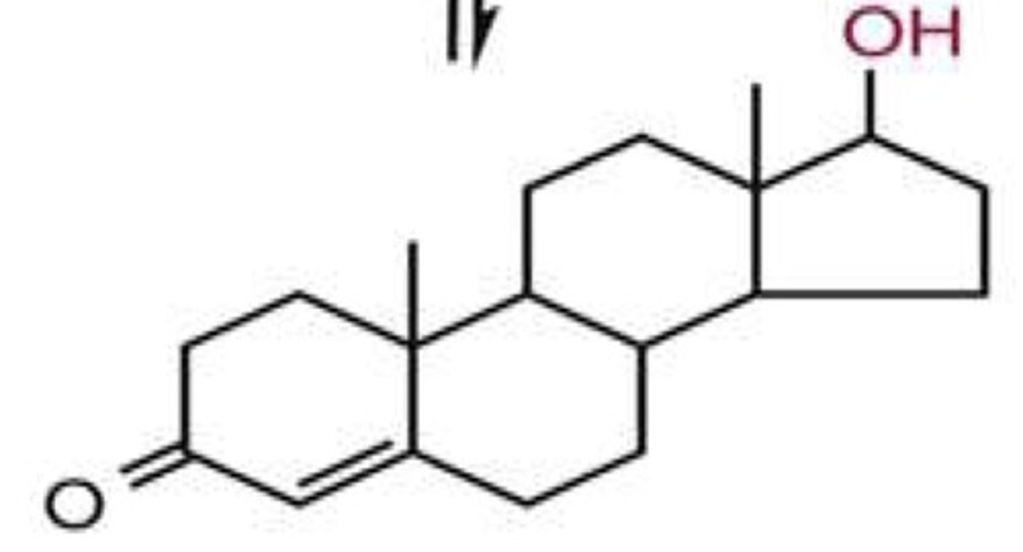 <p>What is this structure and what path is it made by</p>