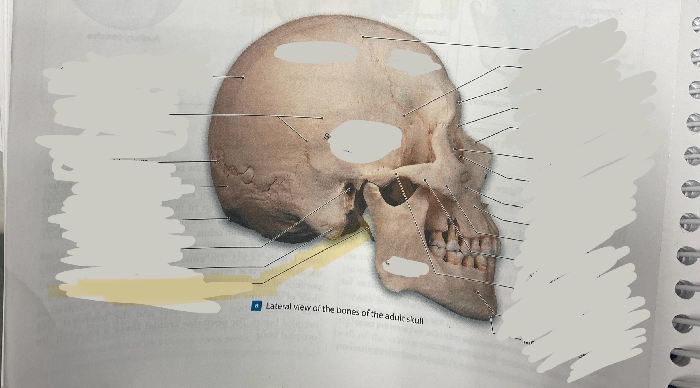 <p>what is this structure?</p>