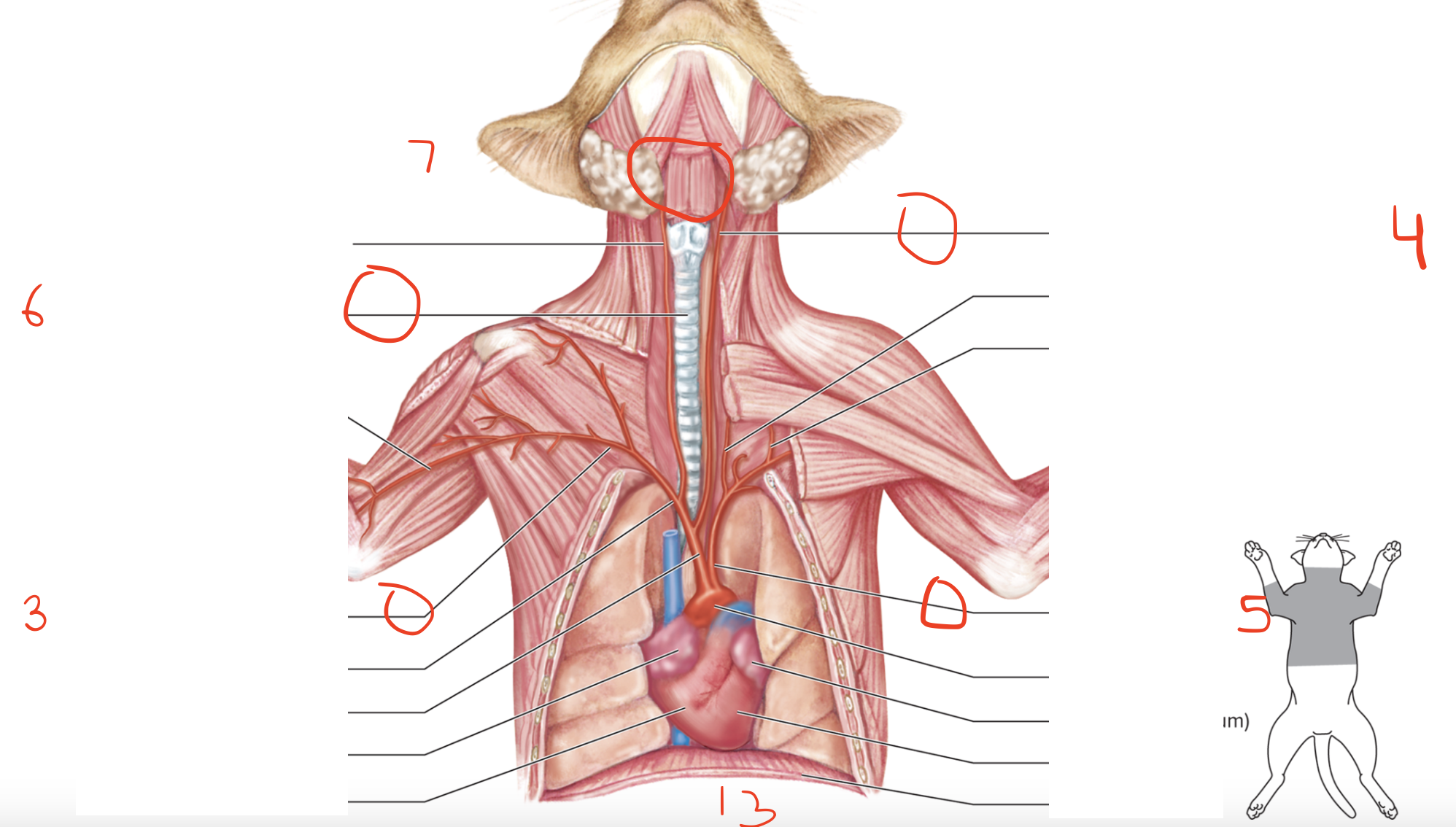 <p>Name 6</p>