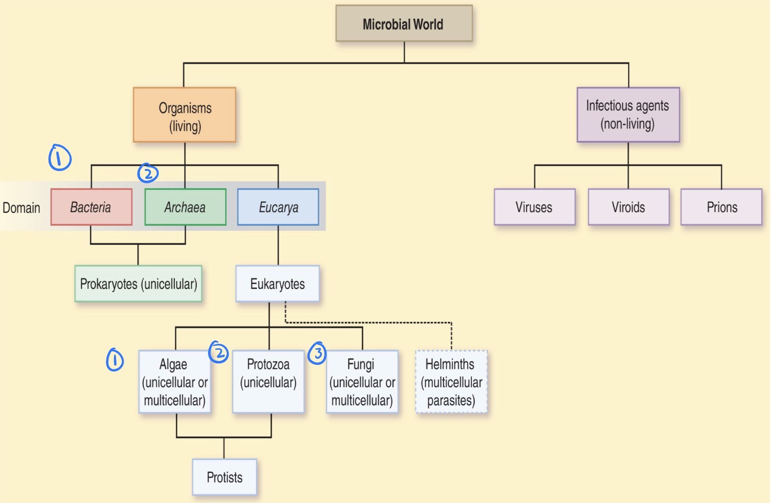 knowt flashcard image