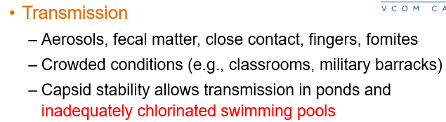 <p>Through <strong>aerosols, fecal matter, close contact, fingers, fomites, and crowded places</strong> like classrooms or military barracks. </p><p>It can also be transmitted via ponds or <strong>inadequately chlorinated swimming pools</strong> due to its stable capsid.</p>