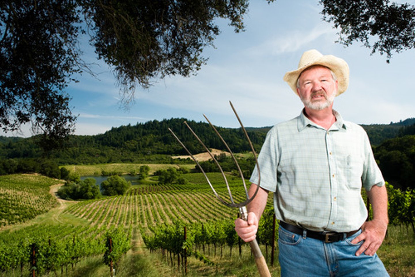 <p>Peasant farmer; rural</p>