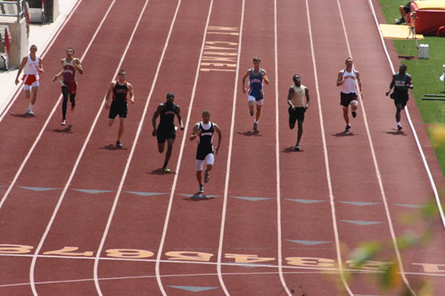 <p>track and field</p>